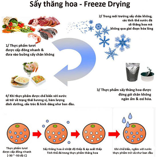 Sấy thăng hoa - Freeze drying là gì? 2