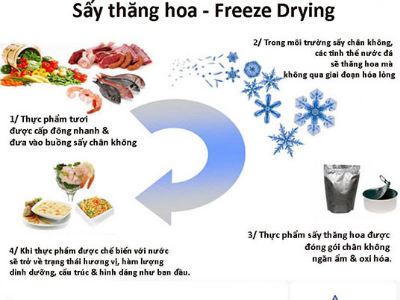 Sấy thăng hoa - Freeze drying là gì?