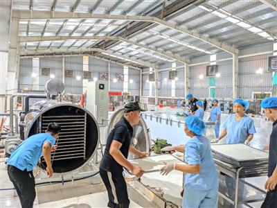 MÁY SẤY CHÂN KHÔNG - SẤY MẬT ONG VÀ CAO DƯỢC LIỆU THÀNH BỘT GIỮ NGUYÊN CHẤT