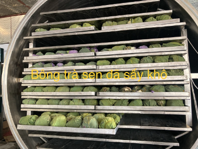 Trà ướp hoa sen Hồ Tây sấy đông khô