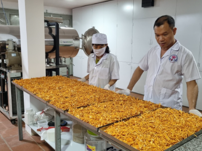 NẤM ĐÔNG TRÙNG  ĐÃ SẤY THĂNG HOA