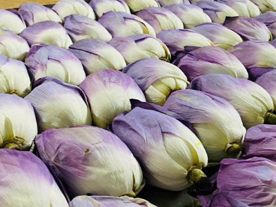 TRÀ ƯỚP BÊN TRONG HOA SEN ĐÃ SẤY THĂNG HOA